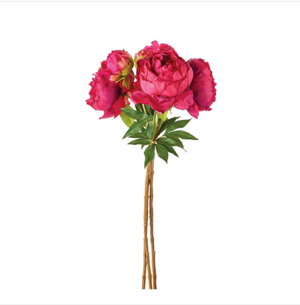Peony - Fuschia